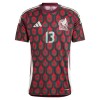 Original Fußballtrikot Mexiko Guillermo Ochoa 13 Heimtrikot 2024 Für Herren